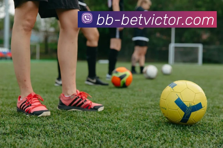 betvictor伟德官网APP 高清赛事图